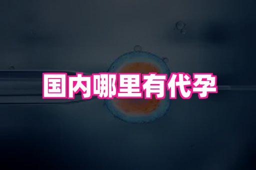 长春助孕网 1